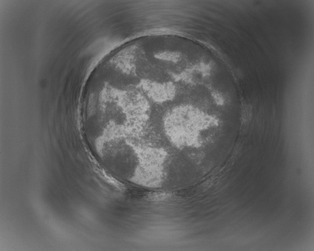 X0000076351278200610201751