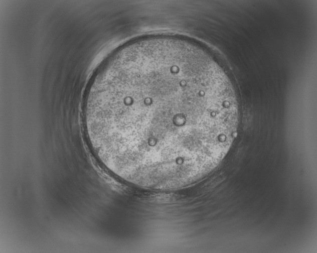 X0000076351279200610201751