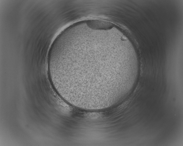 X0000076351280200610201751