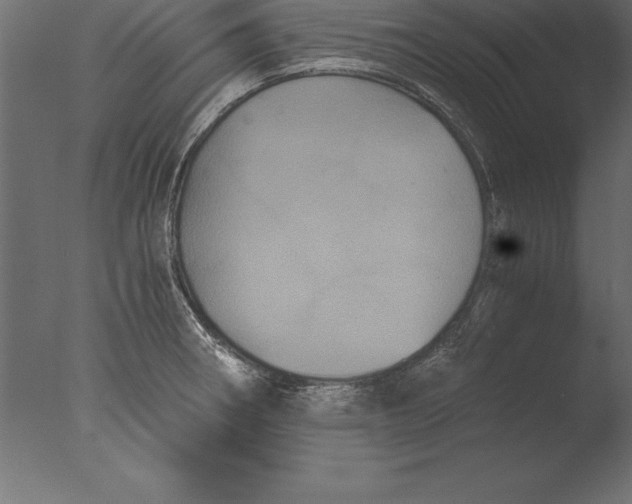 X0000076351282200610201750