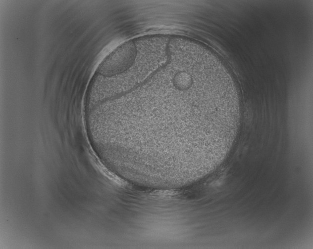 X0000076351283200610201750