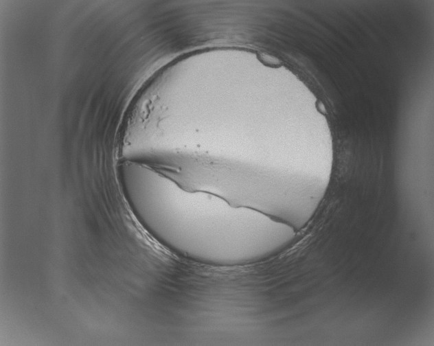 X0000076351284200610201750