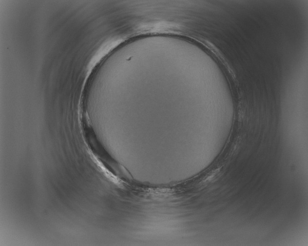 X0000076351285200610201750