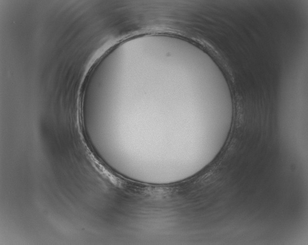 X0000076351286200610201750