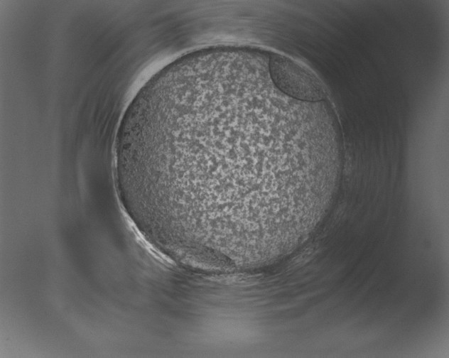 X0000076351287200610201750