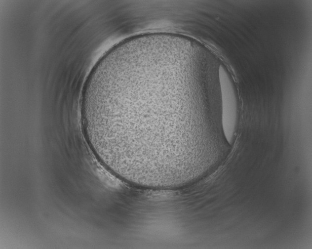 X0000076351288200610201750