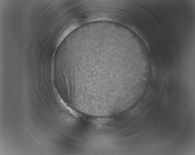 X0000076351290200610201750