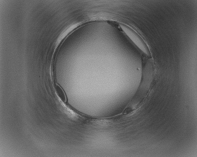 X0000076351293200610201750