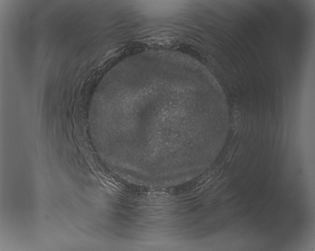 X0000076351297200610201749