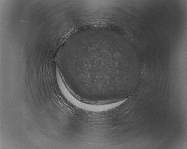 X0000076351298200610201749