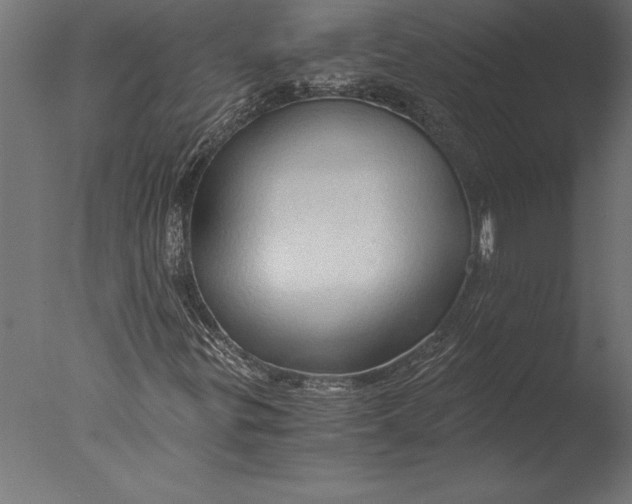 X0000076351299200610201749