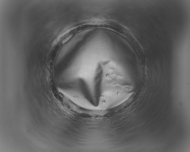 X0000076351304200610201750