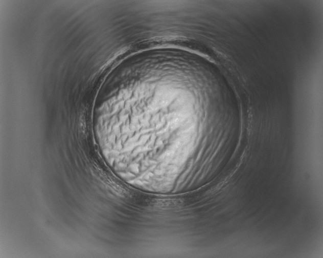 X0000076351305200610201750