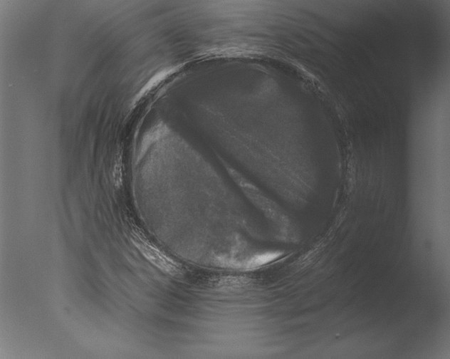 X0000076351306200610201750