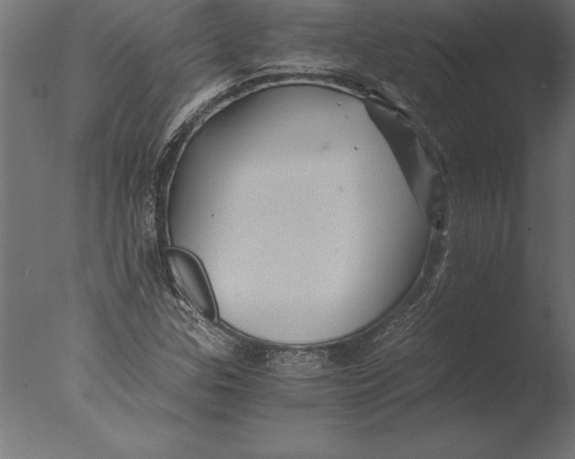 X0000076351307200610201750