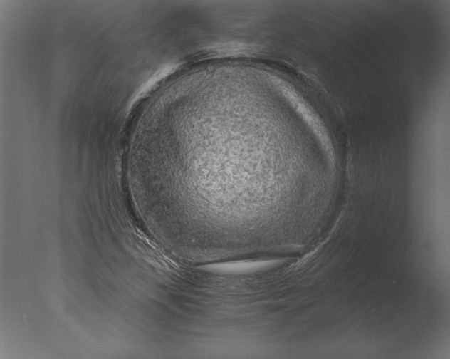 X0000076351309200610201750