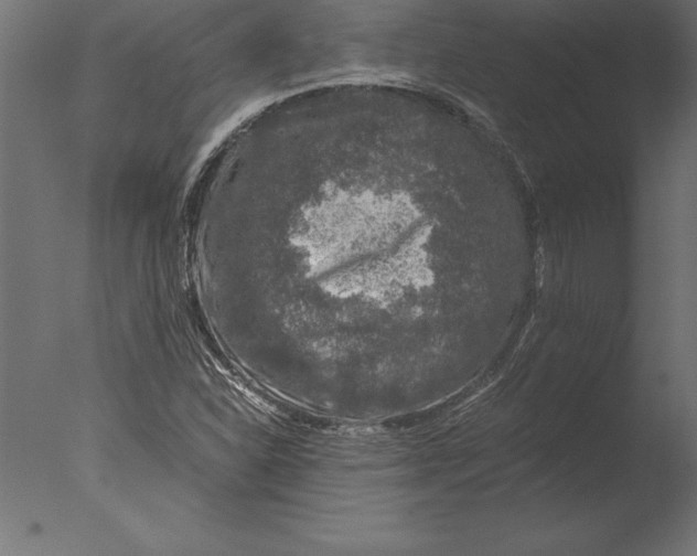 X0000076351310200610201750