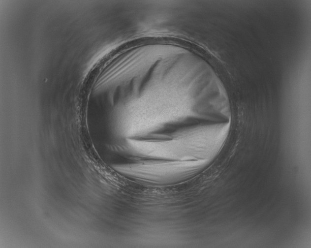 X0000076351311200610201750