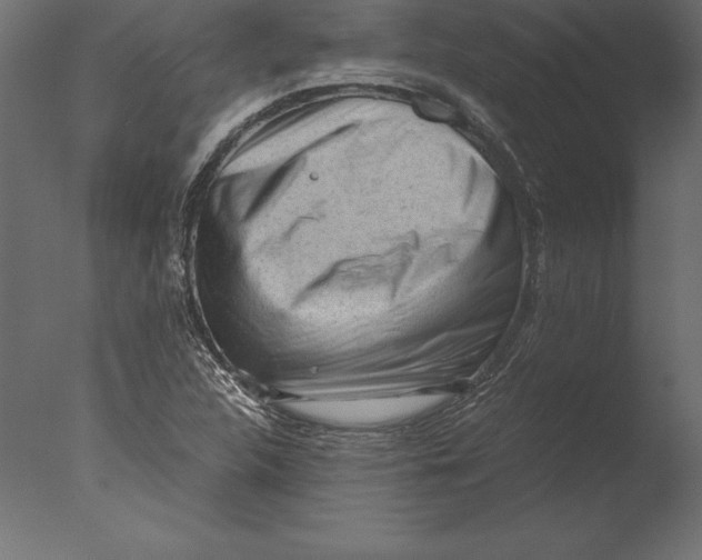 X0000076351312200610201750