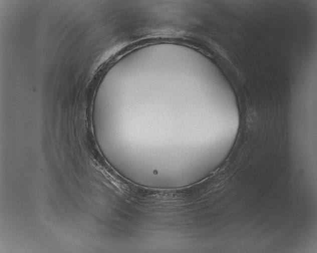 X0000076351315200610201750