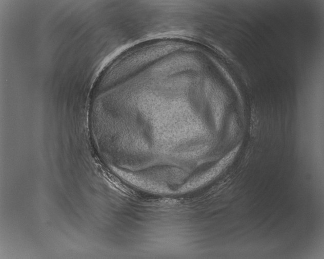 X0000076351316200610201750