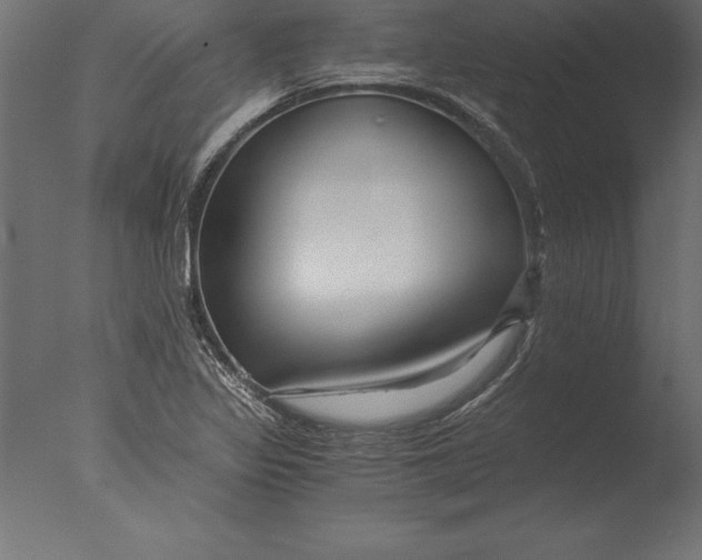 X0000076351317200610201750