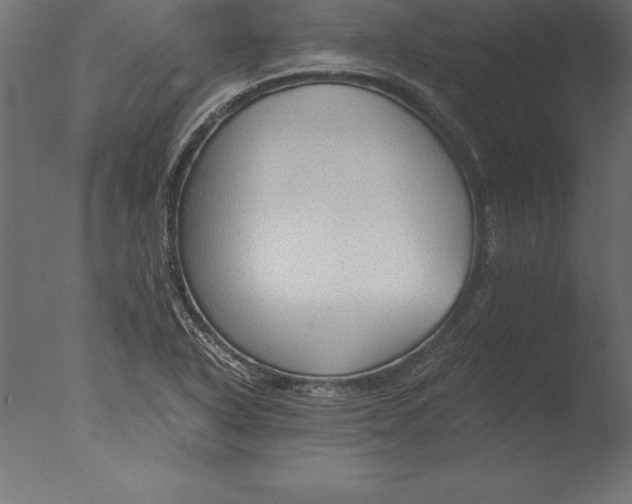 X0000076351318200610201750