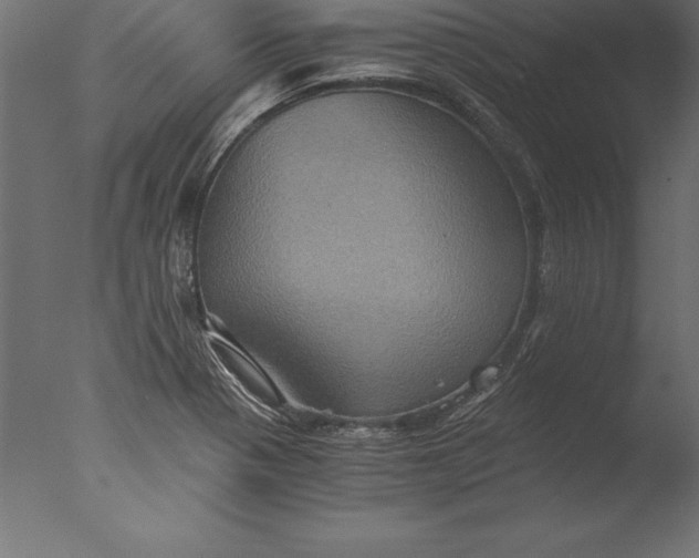 X0000076351321200610201750