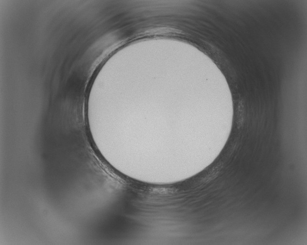 X0000076351322200610201750