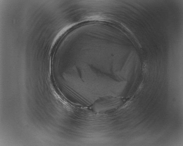 X0000076351323200610201750