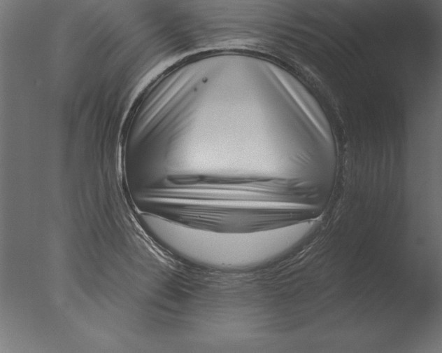 X0000076351324200610201750