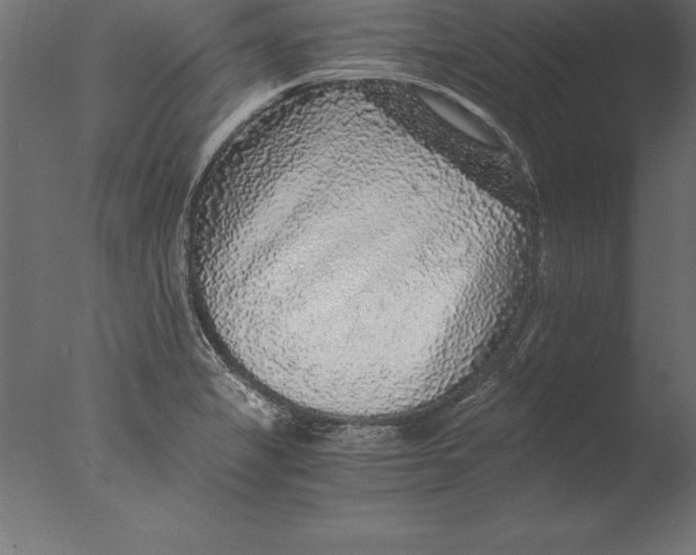 X0000076351325200610201750