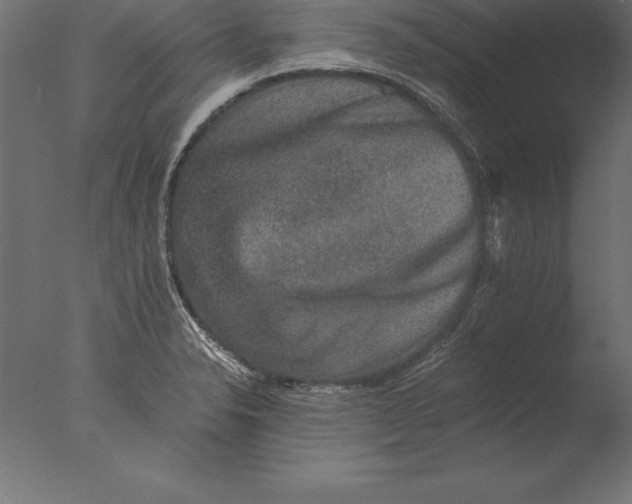 X0000076351326200610201750