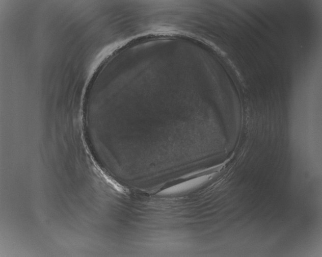 X0000076351327200610201750