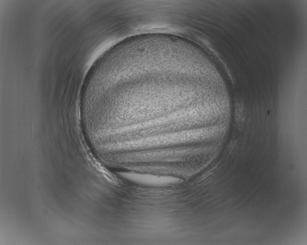 X0000076351328200610201750