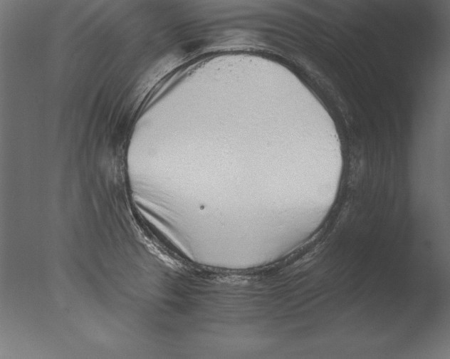 X0000076351329200610201750