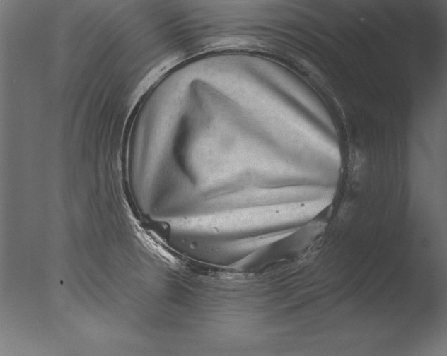 X0000076351330200610201750