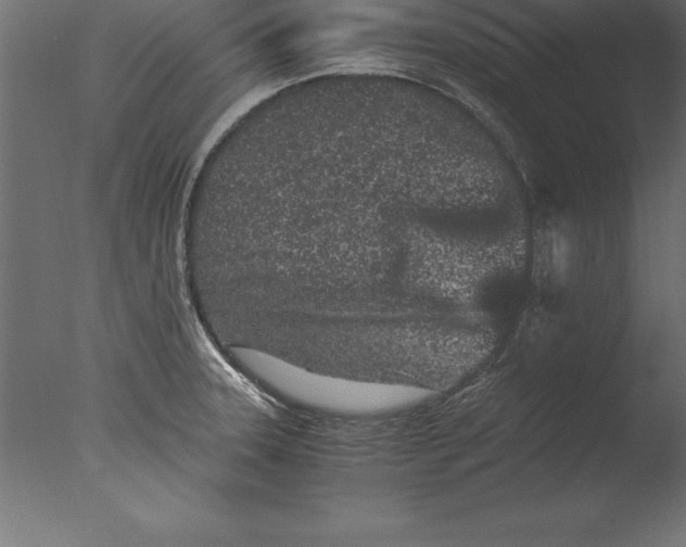 X0000076351331200610201750