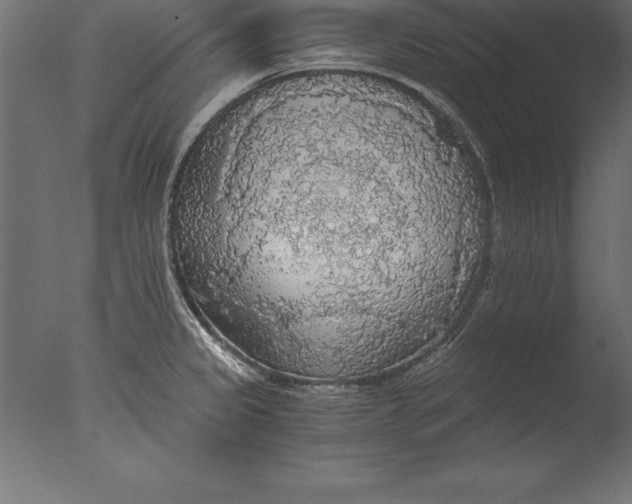 X0000076351333200610201750