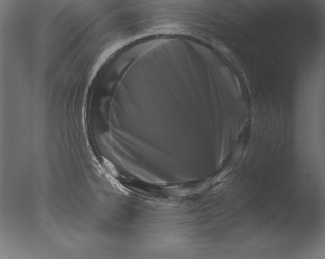 X0000076351334200610201750