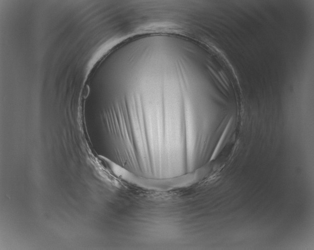 X0000076351336200610201750