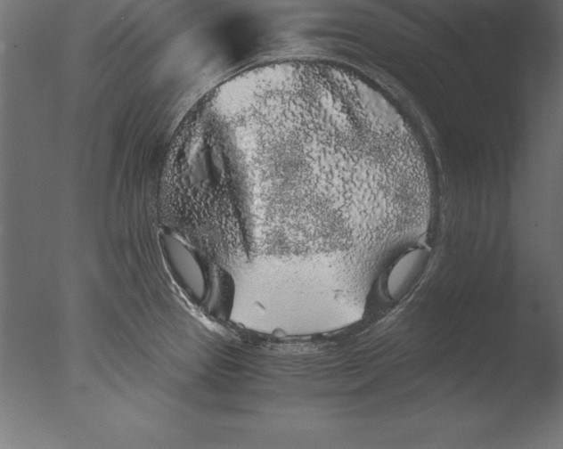 X0000076351337200610201750