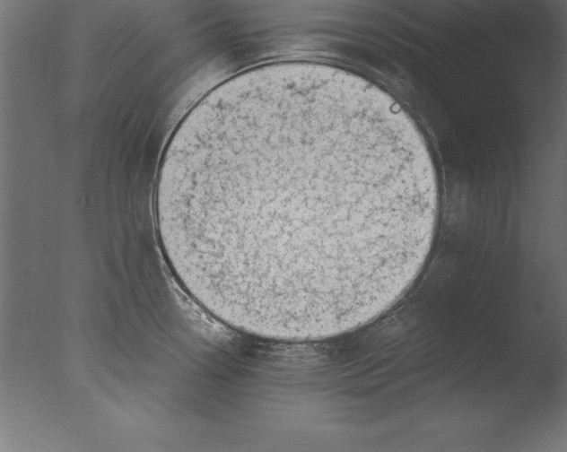 X0000076351338200610201750