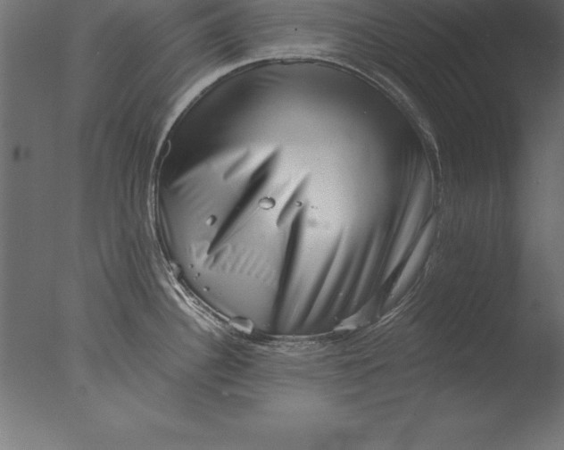 X0000076351340200610201750