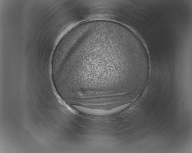 X0000076351341200610201750