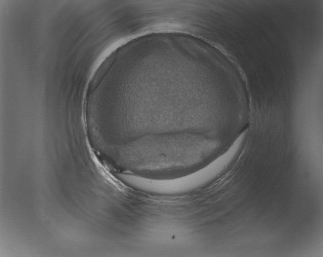 X0000076351342200610201750