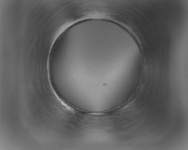 X0000076351343200610201750