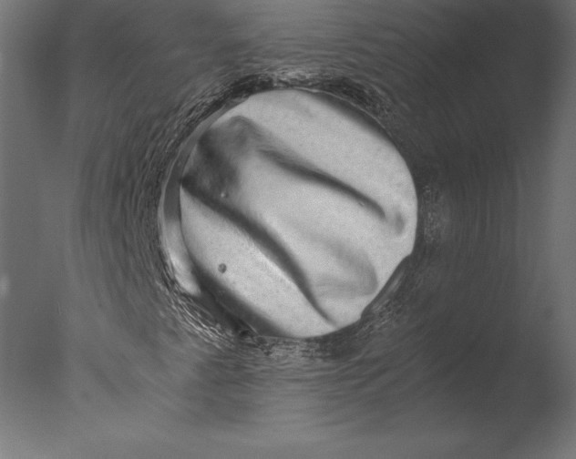 X0000076351345200610201749