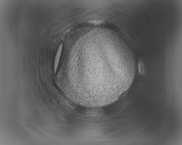 X0000076351347200610201749