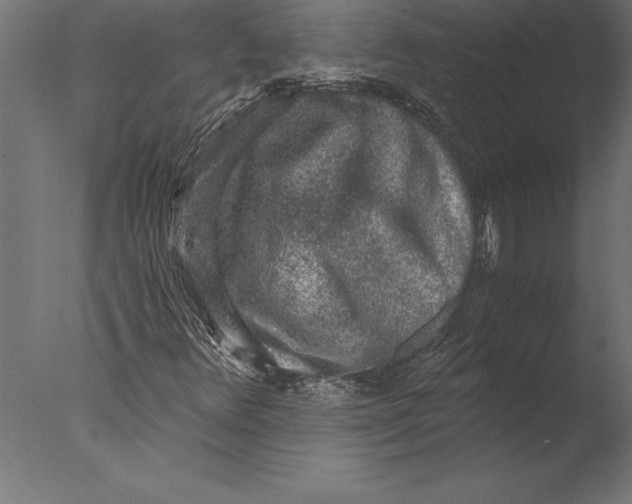 X0000076351348200610201749